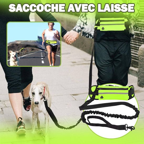 laisse main libre chien