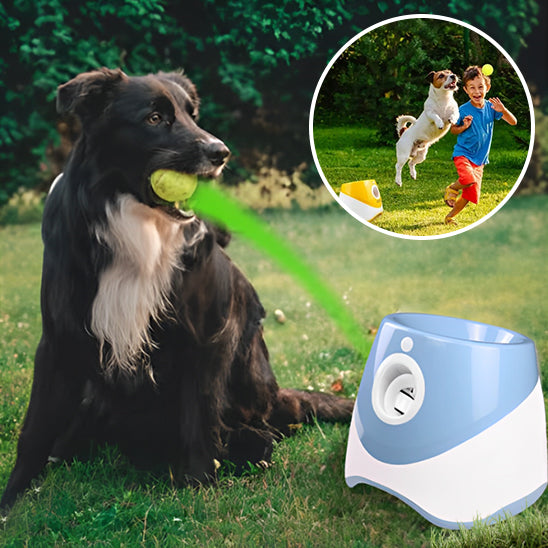 lanceur de balle pour chien | DoggyBallâą