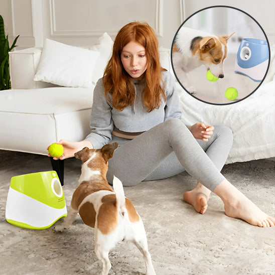 lanceur de balle pour chien | DoggyBallâą