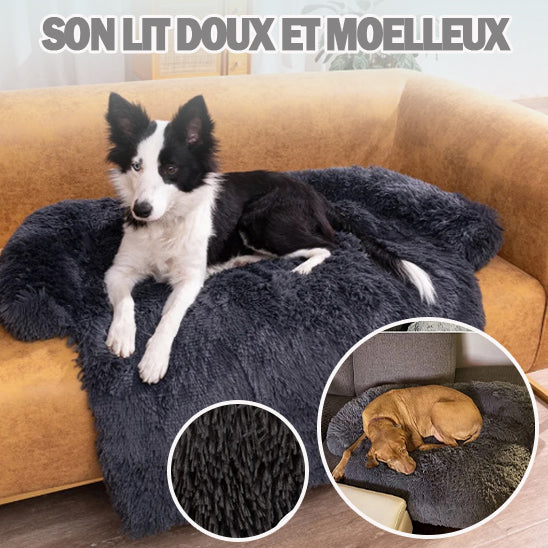 lit pour chien | CozyProtect™