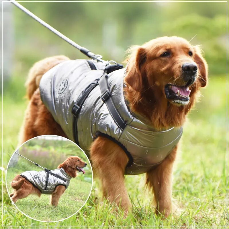 manteau pour chien | WinterJacket™