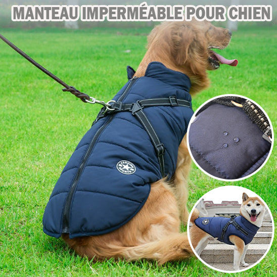 manteau pour chien | WinterJacket™