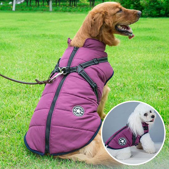 manteau pour chien | WinterJacket™