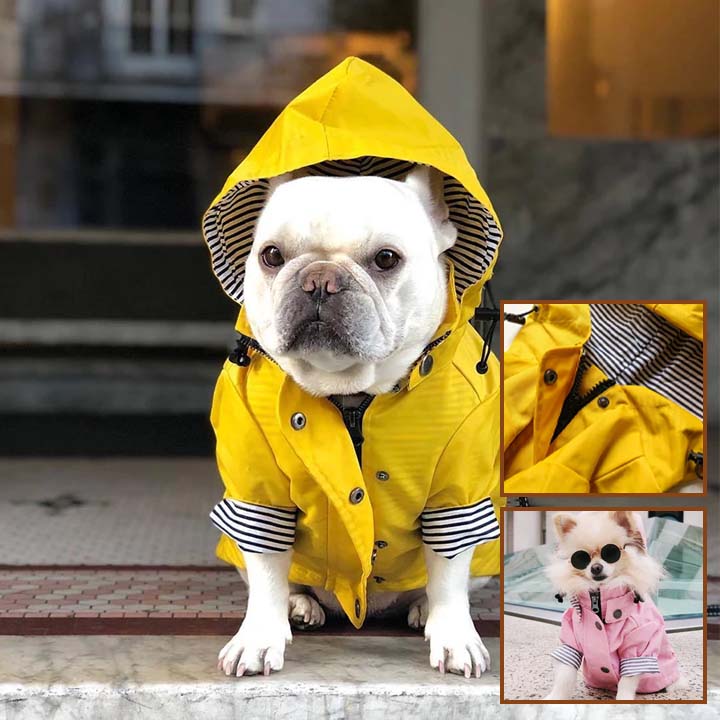 manteau imperméable pour chien | DoggyJackets™