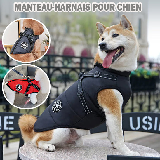 manteau pour chien | WinterJacket™