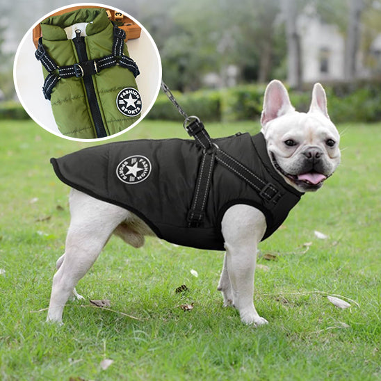 manteau pour chien | WinterJacket™