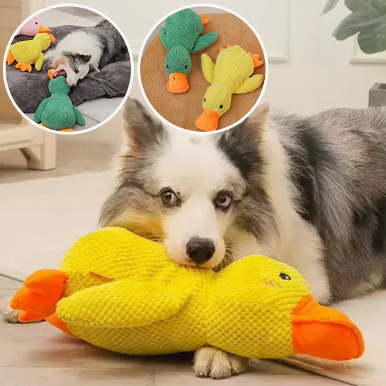 peluche pour chien | GipsyDuck's™