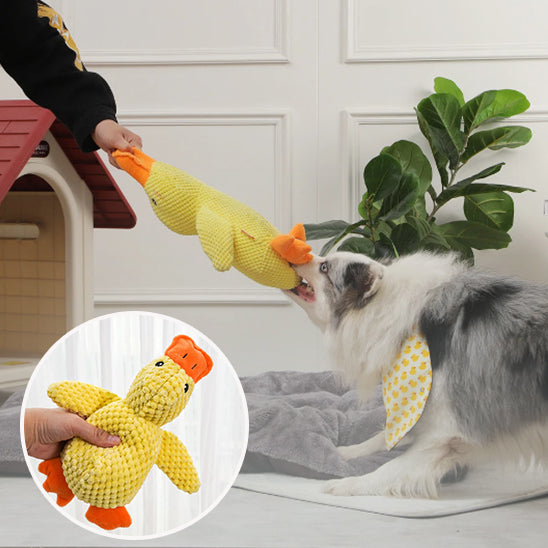 peluche pour chien | GipsyDuck's™