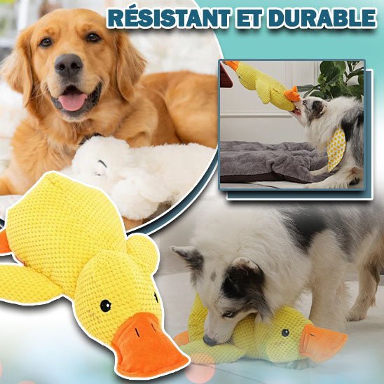 peluche pour chien | GipsyDuck's™ - Happy Life Happy Dog