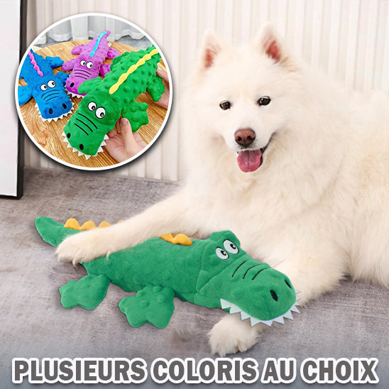 peluche pour chien | CutieCrocro™
