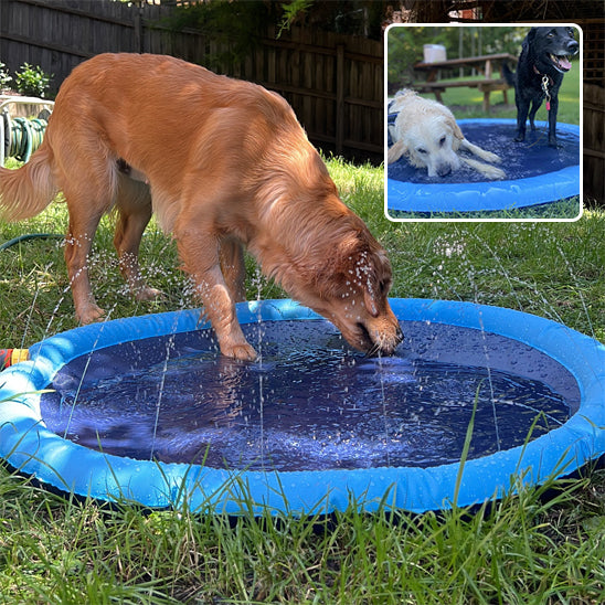 piscine pour chien | DoggySplash™