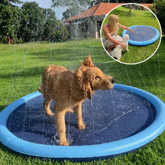piscine pour chien | DoggySplash™