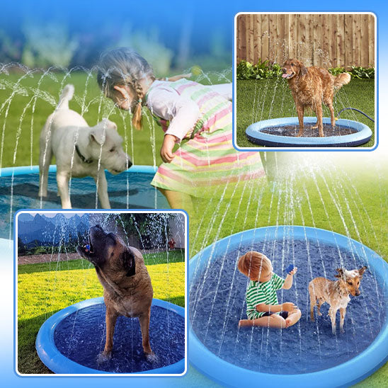 piscine pour chien | DoggySplash™