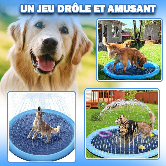 piscine pour chien | DoggySplash™