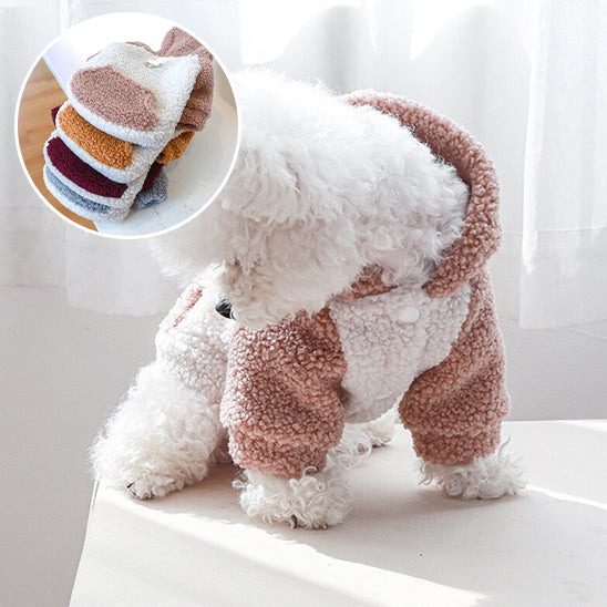pull-pour-chien-confortable