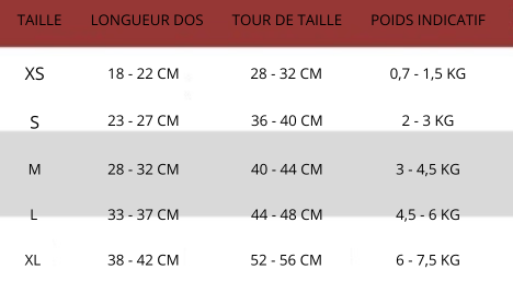pull-pour-chien-taille