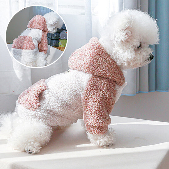pull-pour-chien_d098d1a1-1aab-42cf-92ea-2b783995f9bc