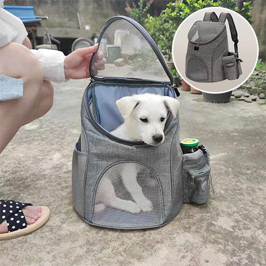 sac à dos pour chien | RandoPaw™