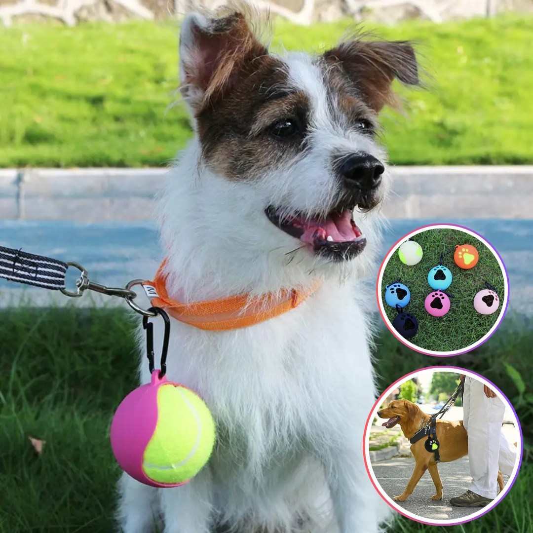 support balle de tennis
