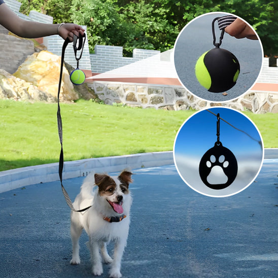 support balle de tennis | ClipBall™
