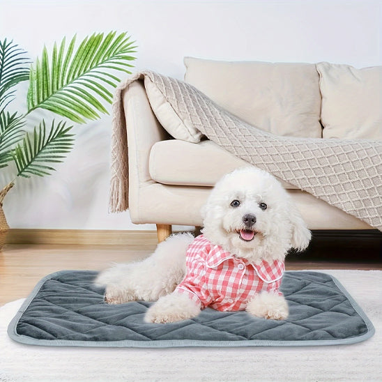 tapis pour chien | ThermoPatte™