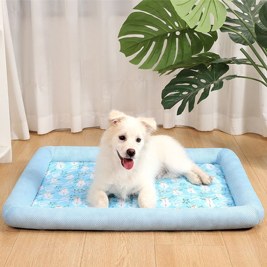 tapis rafraichissant pour chien | FrostiPatte™