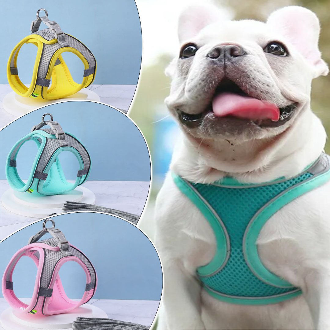 Harnais chien | DogHarness™ - Happy Life Happy Dog