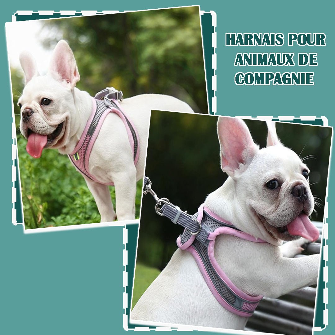 Harnais chien | DogHarness™ - Happy Life Happy Dog
