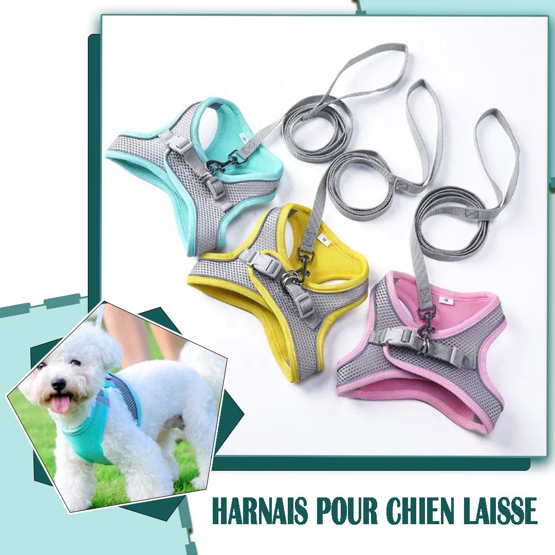 Harnais chien | DogHarness™ - Happy Life Happy Dog
