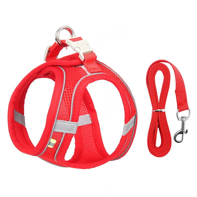 Harnais pour chien | DogHarness™ - Happy Life Happy Dog