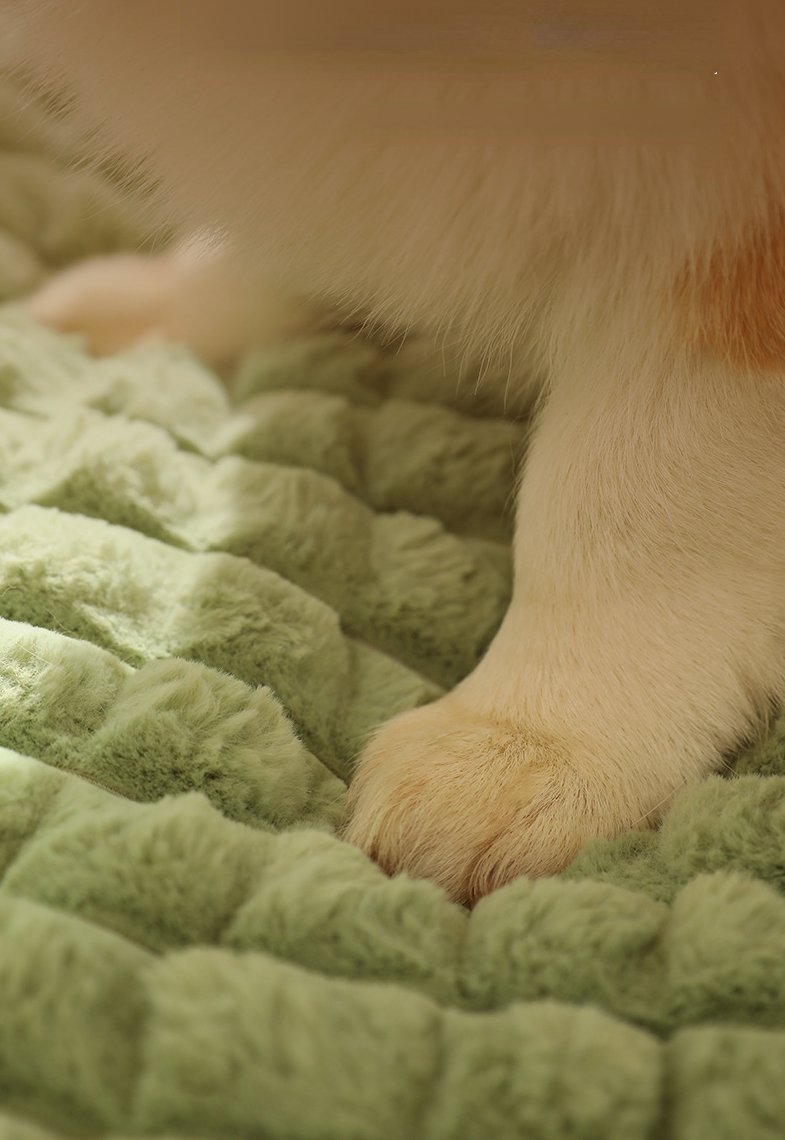 Lit chien | comfyBed™ - Happy Life Happy Dog