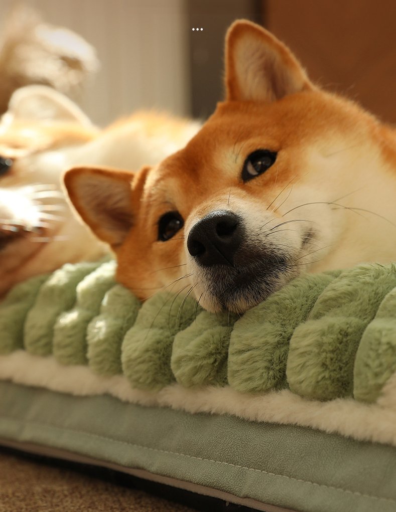 Lit chien | comfyBed™ - Happy Life Happy Dog