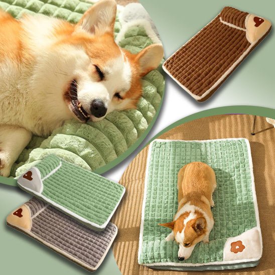 Lit chien | comfyBed™ - Happy Life Happy Dog