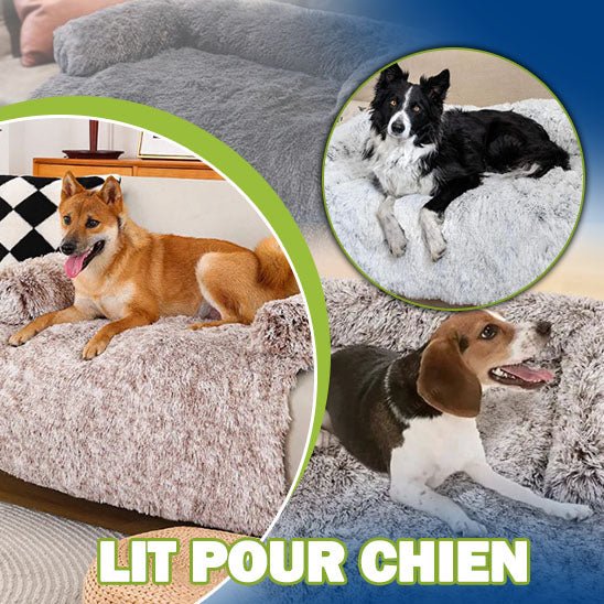 Lit pour chien | CozyProtect™ - Happy Life Happy Dog