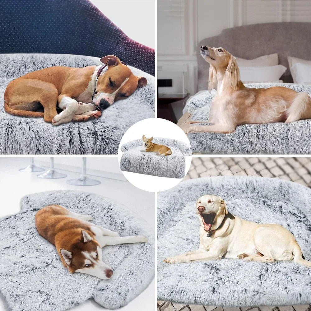 Lit pour chien | CozyProtect™ - Happy Life Happy Dog