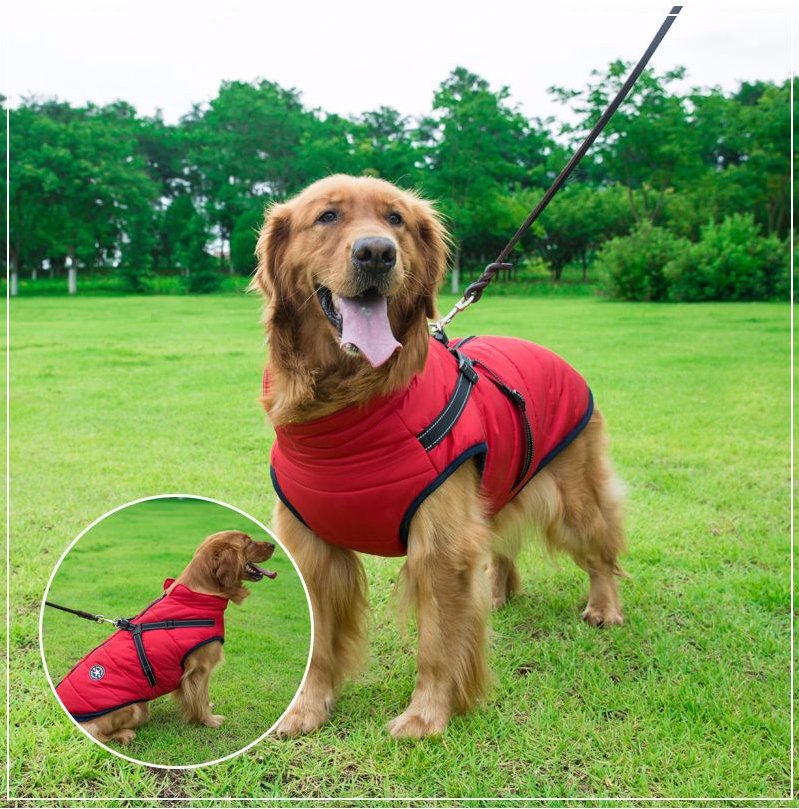 Manteau pour chien | WinterJacket™ - Happy Life Happy Dog