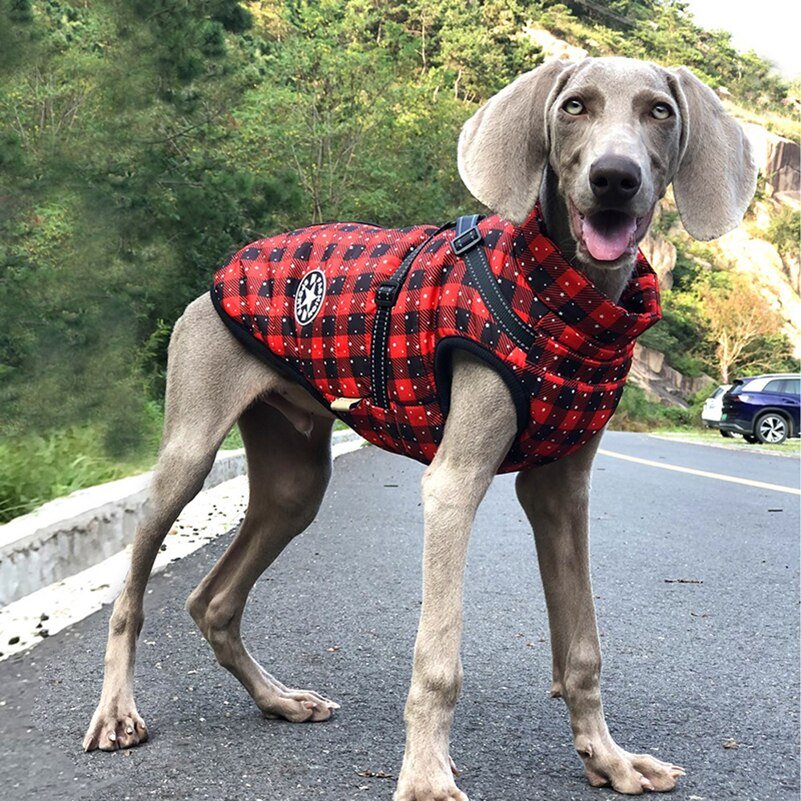 Manteau pour chien | WinterJacket™ - Happy Life Happy Dog