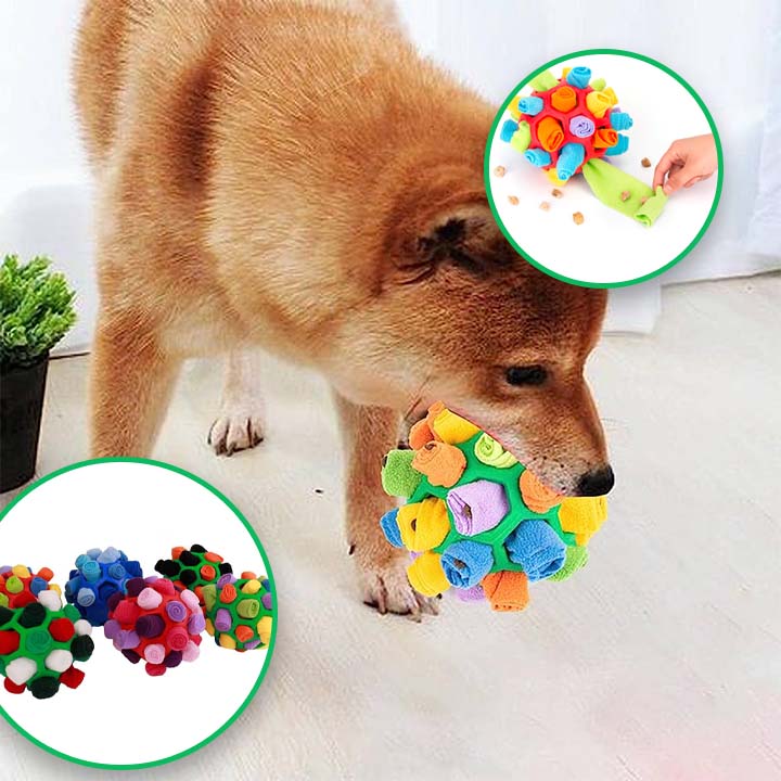 jouet pour chien