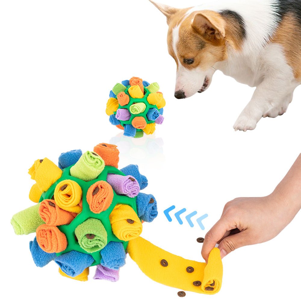 jouet pour chien