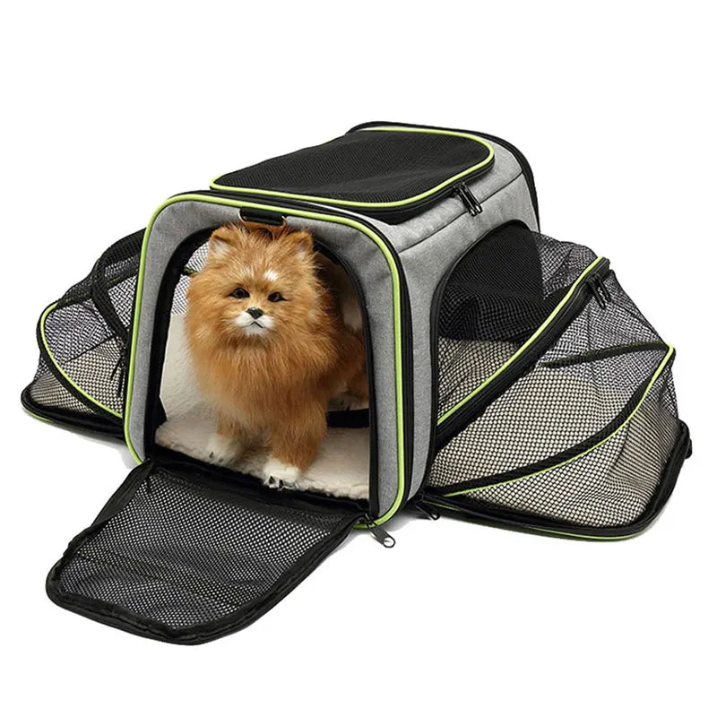 sac de transport pour chien