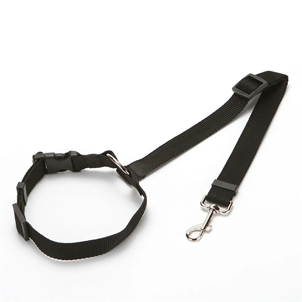 ceinture de sécurité pour chien