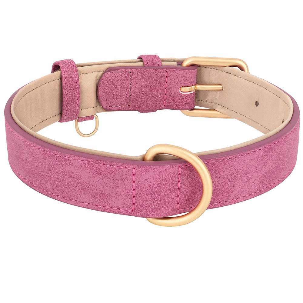 collier en cuir pour chien