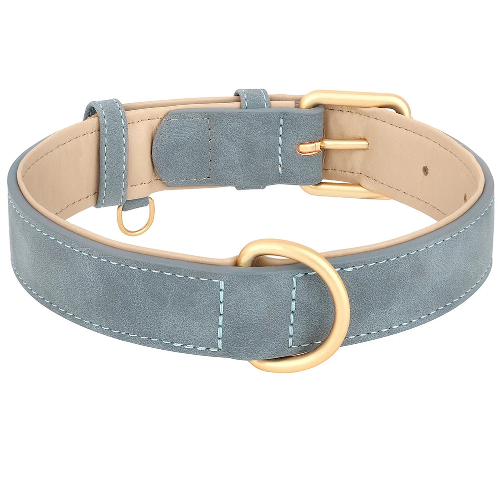 collier en cuir pour chien