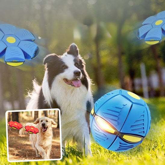 balle interactive pour chien | MagicBall™