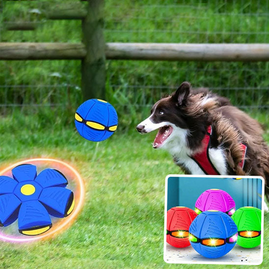 balle interactive pour chien | MagicBall™