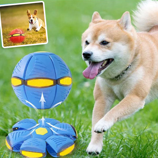 balle interactive pour chien | MagicBall™