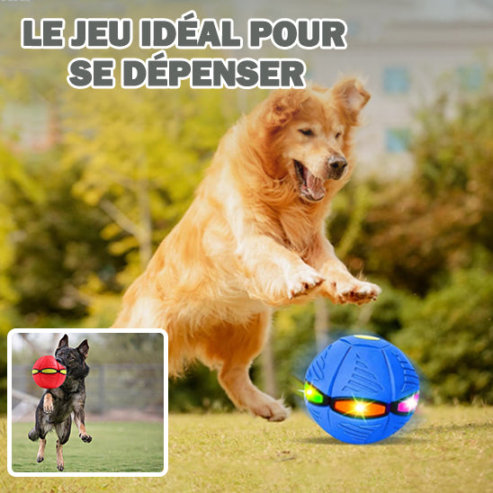 balle interactive pour chien | MagicBall™