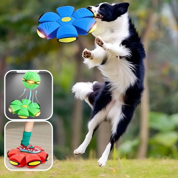 balle interactive pour chien | MagicBall™