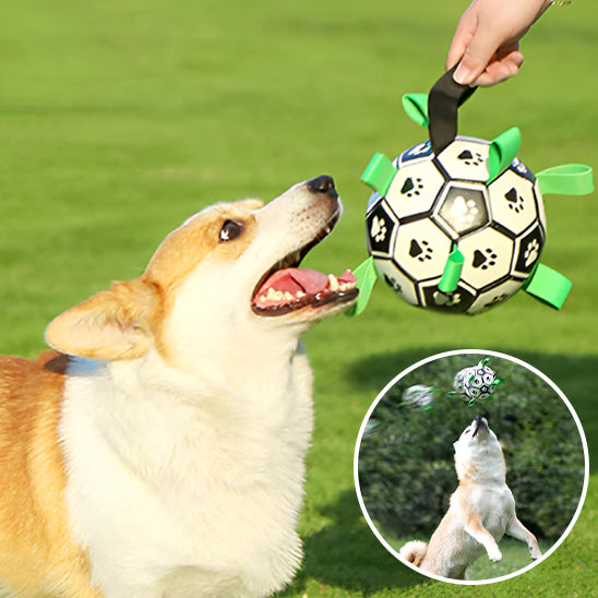 ballon pour chien | FunBall™