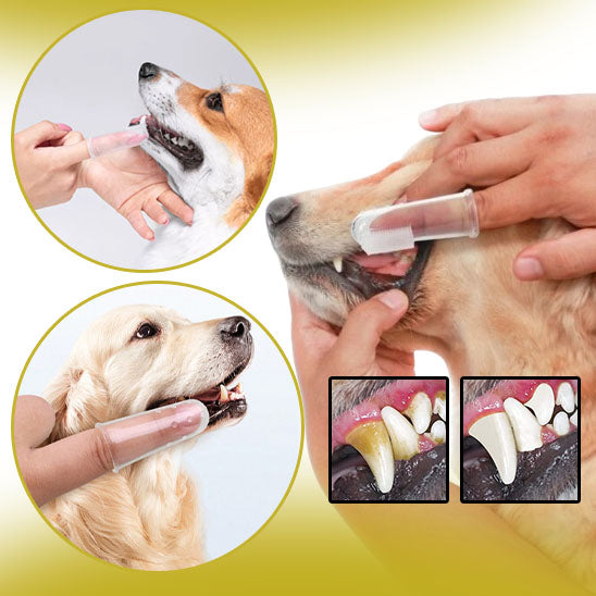 brosse a dent pour chien